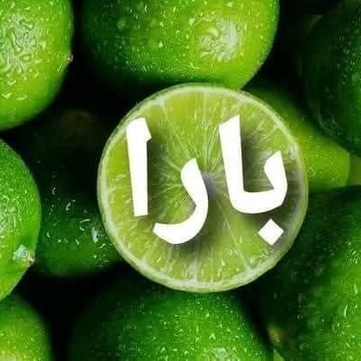 saadsarra1's profile picture. 