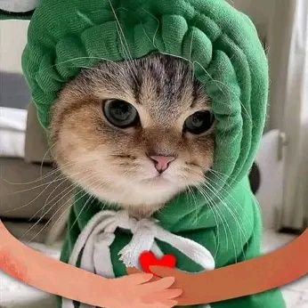 AvioMarie's profile picture. Zaupanje je temelj vseh odnosov; prosim vas, da imate vero v Jezusa Kristusa.