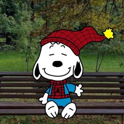 jscfied's profile picture. #성찬 💭🃏🛋️📬🐾