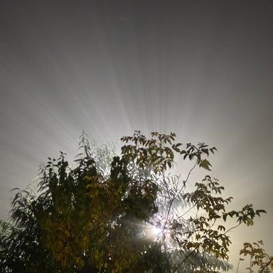 _an_sav_'s profile picture. 