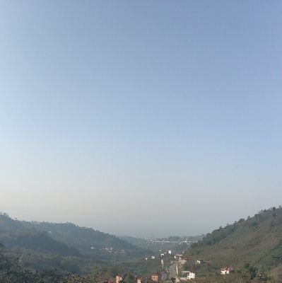 Njdtyldrmmm's profile picture. 