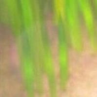 mmkn345833's profile picture. 