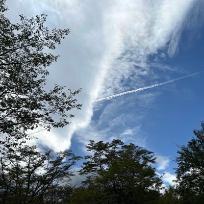 futaba_illust2's profile picture. 