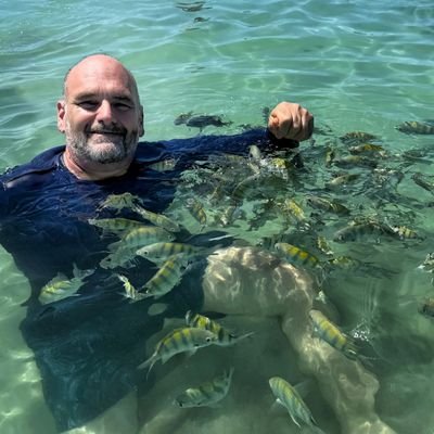 flavitotrabatto's profile picture. 