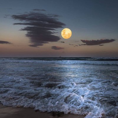 dultwj's profile picture. 