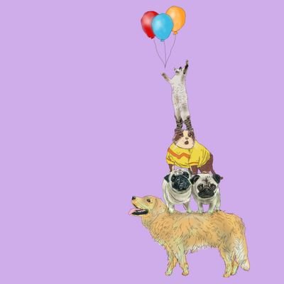 raicegh's profile picture. 