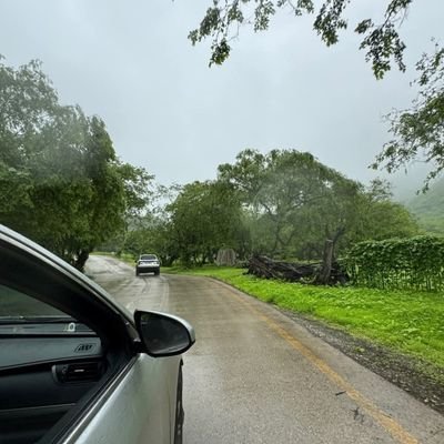 BSalm55830's profile picture. 