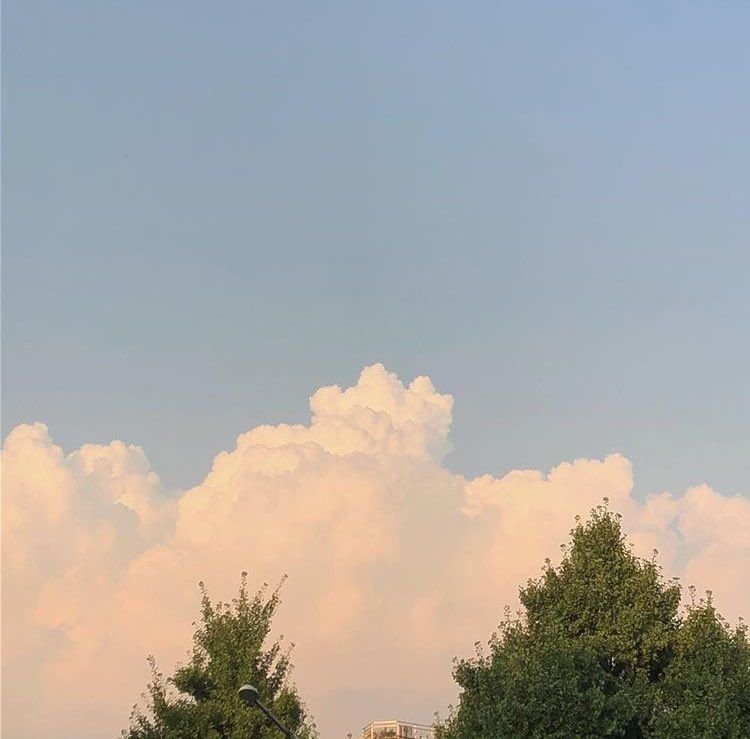 xelyte_0's profile picture. にこぴ🐰🍼