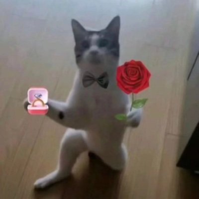 bd_king4211's profile picture. Iam not you broh