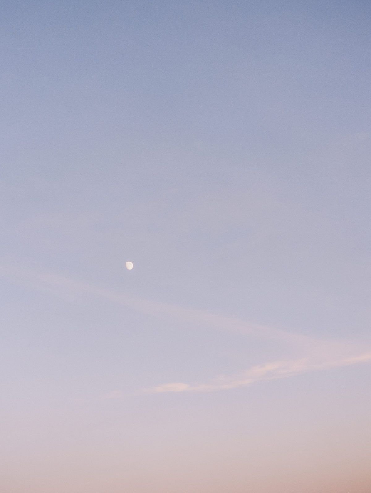 Temime10's profile picture. プロスピ