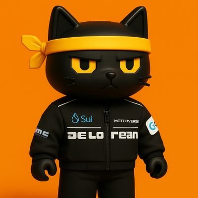 ItsCatoshi's profile picture. Crypto Meowntor 🐾 Catalyst @DeLoreanLabs × @SHIRO