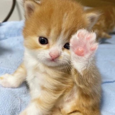 sxneyee's profile picture. 