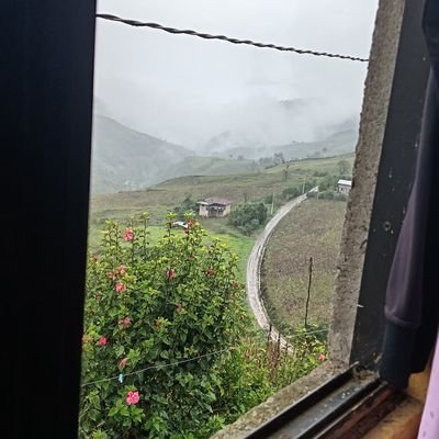 LopezAngel24549's profile picture. 