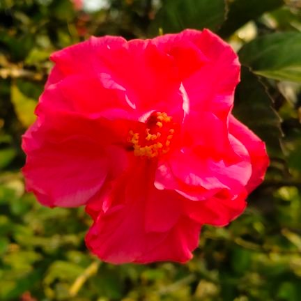 MdMd8783's profile picture. 