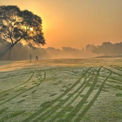 ZOON2's profile picture. Wandering, Music, Sports & Web3