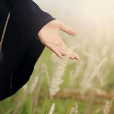 AmberJehangir's profile picture. A Restless Sky !! Idiosyncratic I m So !! Trying best 2 b Servant of Allah !! A Patriot Love PAKARMY💚I M A MOTHER !! DM❌RT’s nt an endorsement !!