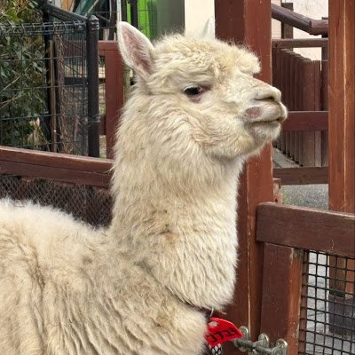 amito7922amito's profile picture. 