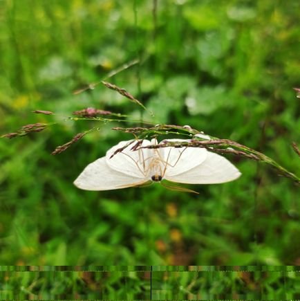 ice_ic5025's profile picture. merhaba arkadaşlar, YouTube kanalımın x hesabıdır.Desteklemek istiyorsanız kanalıma abone olmayı unutmayın 😊😊