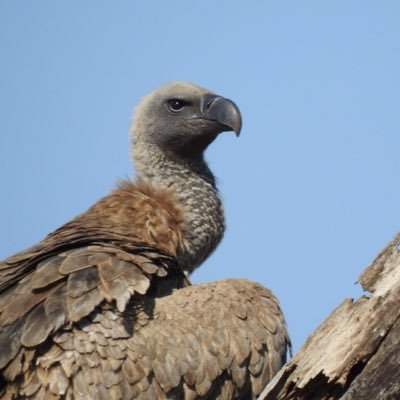 20100piel's profile picture. 