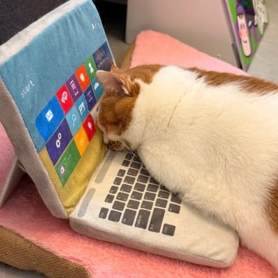 _post_its's profile picture. ADS 4/6 • 20yo • programação #studytech #studytwt| Livros | Séries | filmes