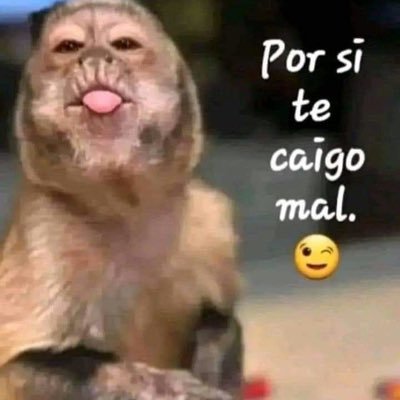 TrujilloSie's profile picture. 