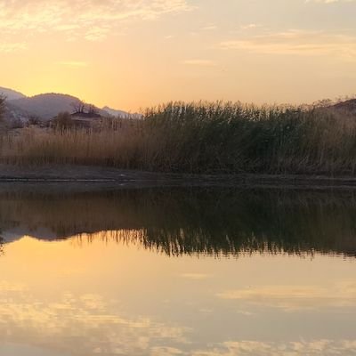 dogan8448z's profile picture. Bütün izler onu çıkarana götürmez bazı izlerse silinir gider sabah olmadan ne yolcusu bulunur, nede yolu bulunur