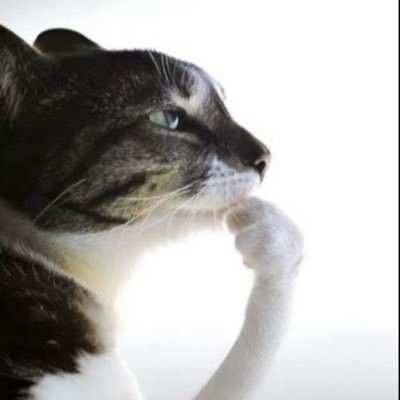 Vortex2foutre's profile picture. 