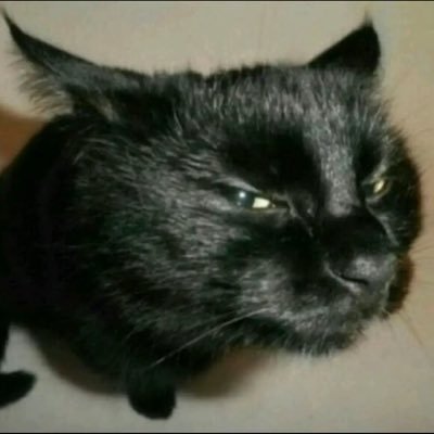 YourLocalGuy36's profile picture. 