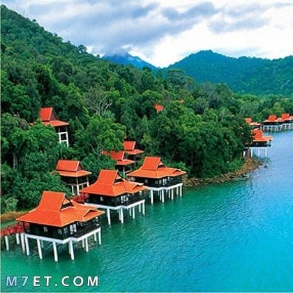 WAlghrary12760's profile picture. 