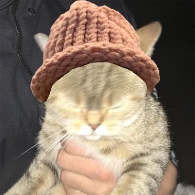 sshmak3's profile picture. ADHD with mild Autism. good memes https://t.co/ym72Uwn5pX