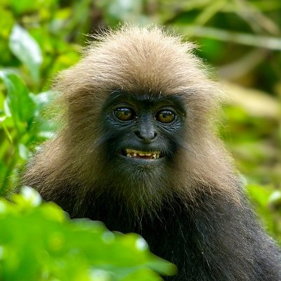 michaelsderby's profile picture. The action is elsewhere folks.