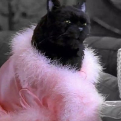 c_hache9's profile picture. 