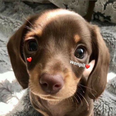 pilspecial_'s profile picture. 옵니다