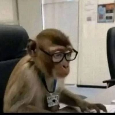 Lord_Nelukau's profile picture. @ChelseaFC . @Masandawana. @Warriors

Phundulu ndia dzama, zwivhi ndi sia ndo ita.