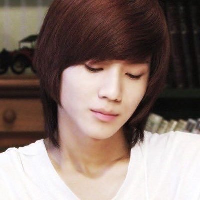 taemincita's profile picture. ot5 shawol jongtae biased !
