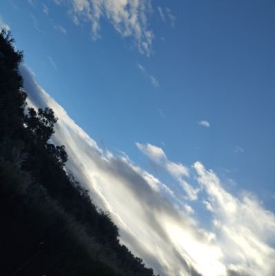 cabello86carmen's profile picture. 