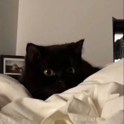 lfyllii's profile picture. 