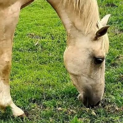 RedWhiteBlue103's profile picture. Only Men please.