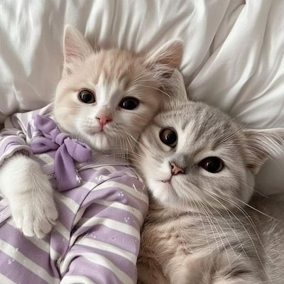 avanea1's profile picture. 