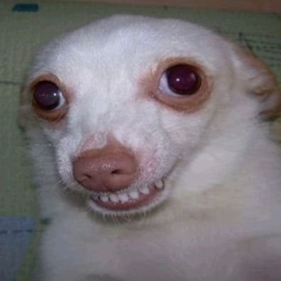 CostaHana27130's profile picture. Bem vindo ao meu caos e por favor não me cobre coerência  Júridico dos 🎥🏳️‍🌈