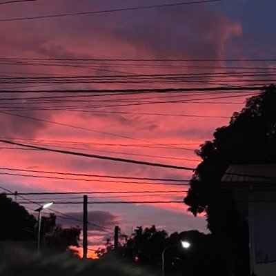 zeeble_zeeb25's profile picture. I can't sum up myself in a bio. 
✽ I talk to my pets and apologize to inanimate objects.
✽ Let’s play music together!
Bandcamp: https://t.co/V0IGlDLaHq