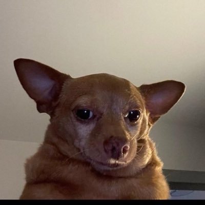 msbisiagain's profile picture. 5’5 Fashion model