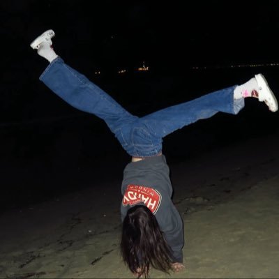 torchflowerss's profile picture. i talk about anything but its mainly just wips