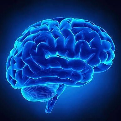 5280Blue's profile picture. Stop Trump. Stop MAGA. Stop Project 2025. Blue Wave 2026. Blue Wave 2028. Vote Blue Always.