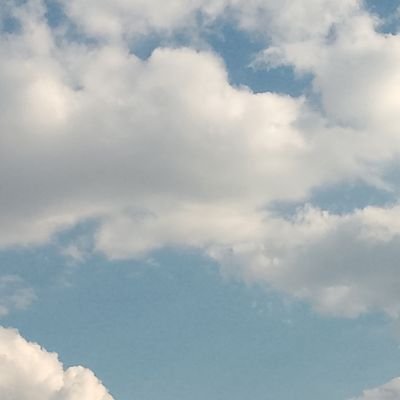 MMeow58290's profile picture. 