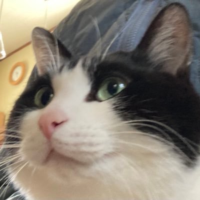 Maguron_pad's profile picture. パズドラと原神とドラゴンボールとダイナマイクとモンハンnowやってます！