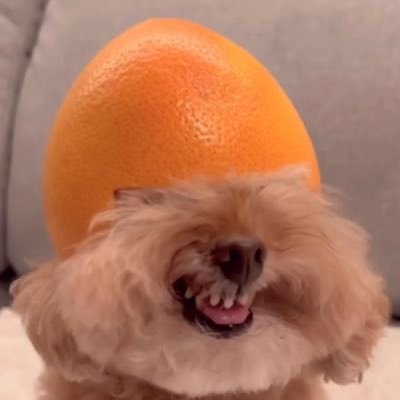 BurritoEater03's profile picture. COD com legend / free @derpz_uwu