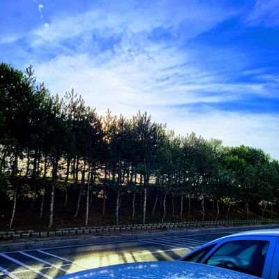 BenliAhmed's profile picture. 