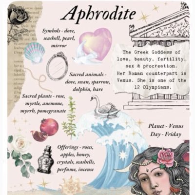 unexplainables8's profile picture. These are some of my favorite emojis in no order: 🧜🏻‍♀️🌙🍋📚🎀🕯️🪷🐚🫧