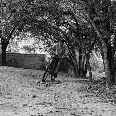 edwardkoenning's profile picture. Family, riding bikes, Doctor Who, BMX, cruisers, mountain bikes, bikes, Spurs basketball, having a beer or two. It's all about the BMX. Shiner Bock